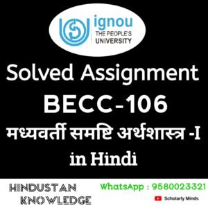 BECC 106 : मध्यवर्ती समष्टि अर्थशास्त्र-I in Hindi Solved Assignment 2024-25
