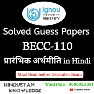 BECC 110 : प्रारंभिक अर्थमिति in Hindi Solved Guess Paper December 2025 Exam
