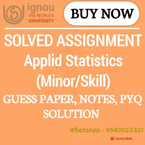 Applied Statistics (Minor / Skill / Interdisciplinary course)
