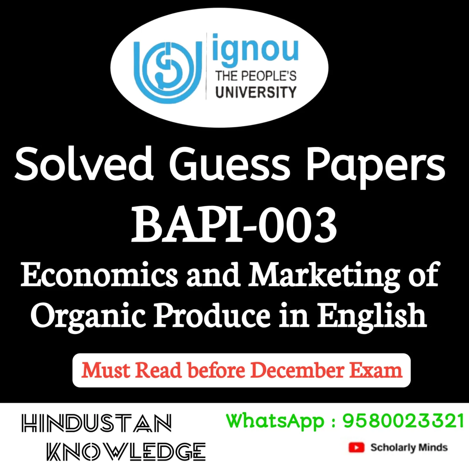 BAPI 003 ENGLISH GUESS PAPER