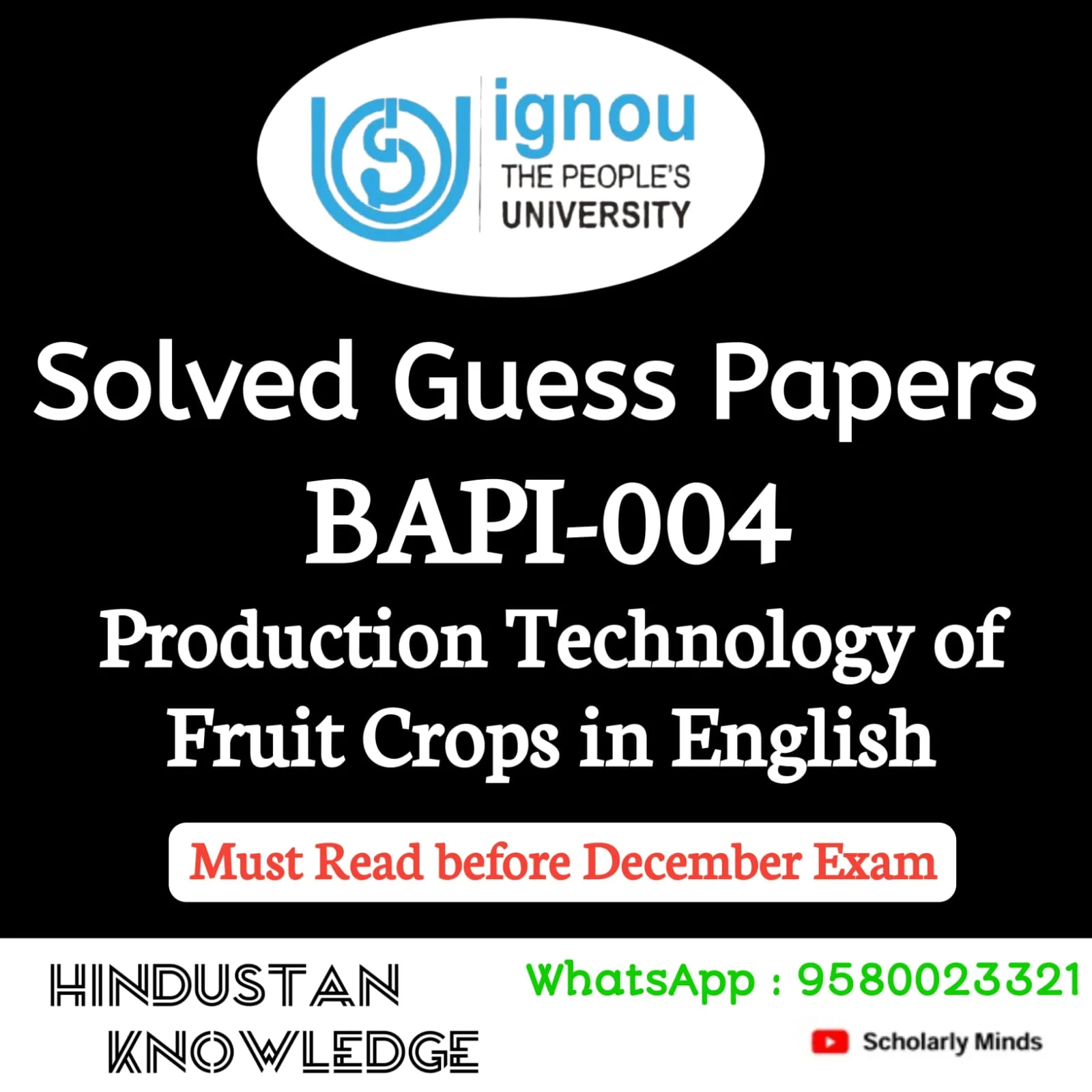 BAPI 004 ENGLISH GUESS PAPER