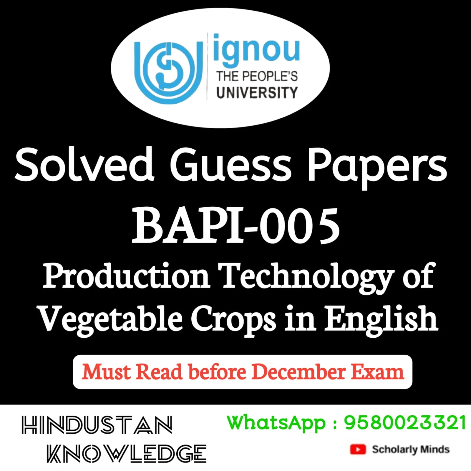 BAPI 005 ENGLISH GUESS PAPER