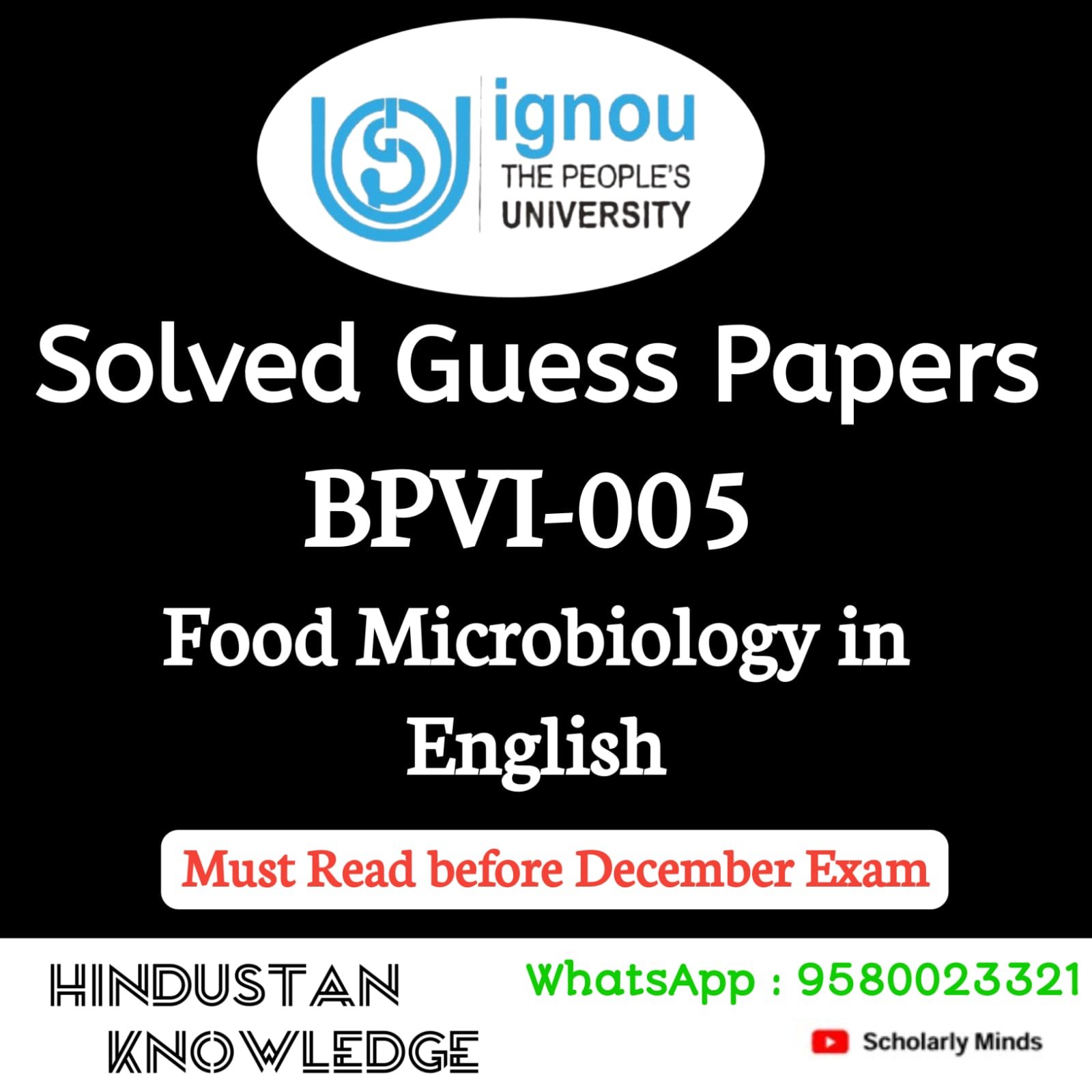 BPVI 005 ENGLISH GUESS PAPER