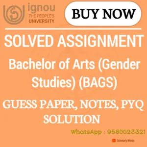 Bachelor of Arts (Gender Studies) – BAGS