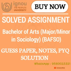 Bachelor of Arts (Major/Minor in Sociology)  (BAFSO)